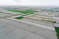 科技绘就新疆春耕新图景 科技绘就新疆春耕新图景